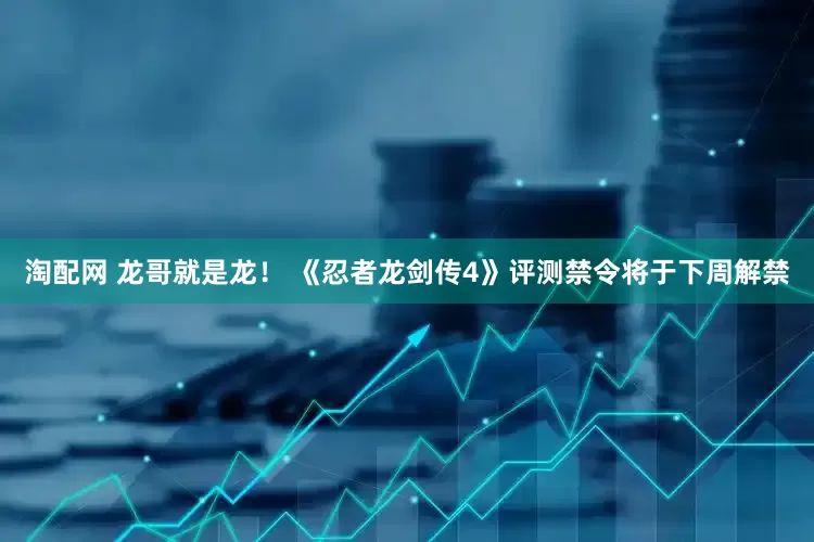 淘配网 龙哥就是龙！ 《忍者龙剑传4》评测禁令将于下周解禁